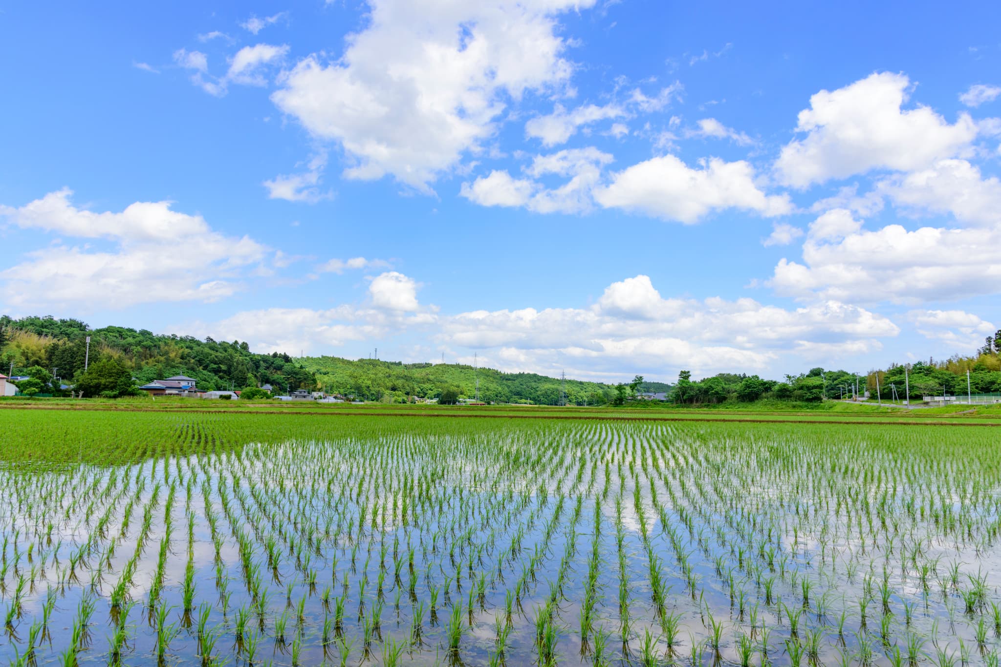 地域密着だからできる丁寧なご提案